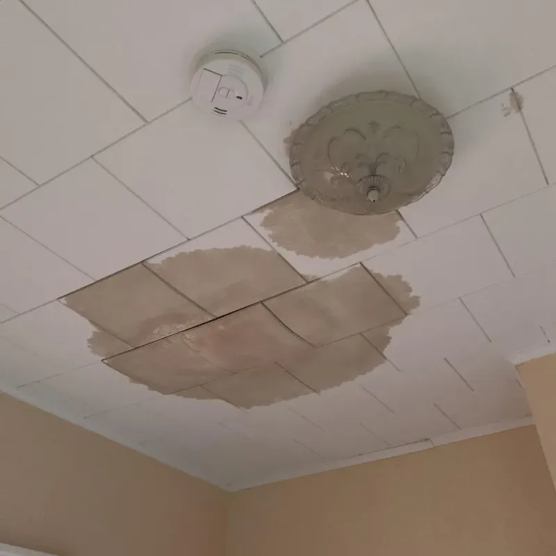 Ceiling Water Damage Repair in Kensington, NH