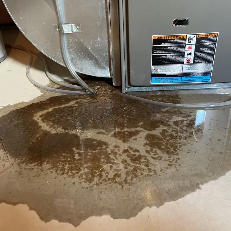 Pipe Burst and Leak Restoration in Kensington, NH